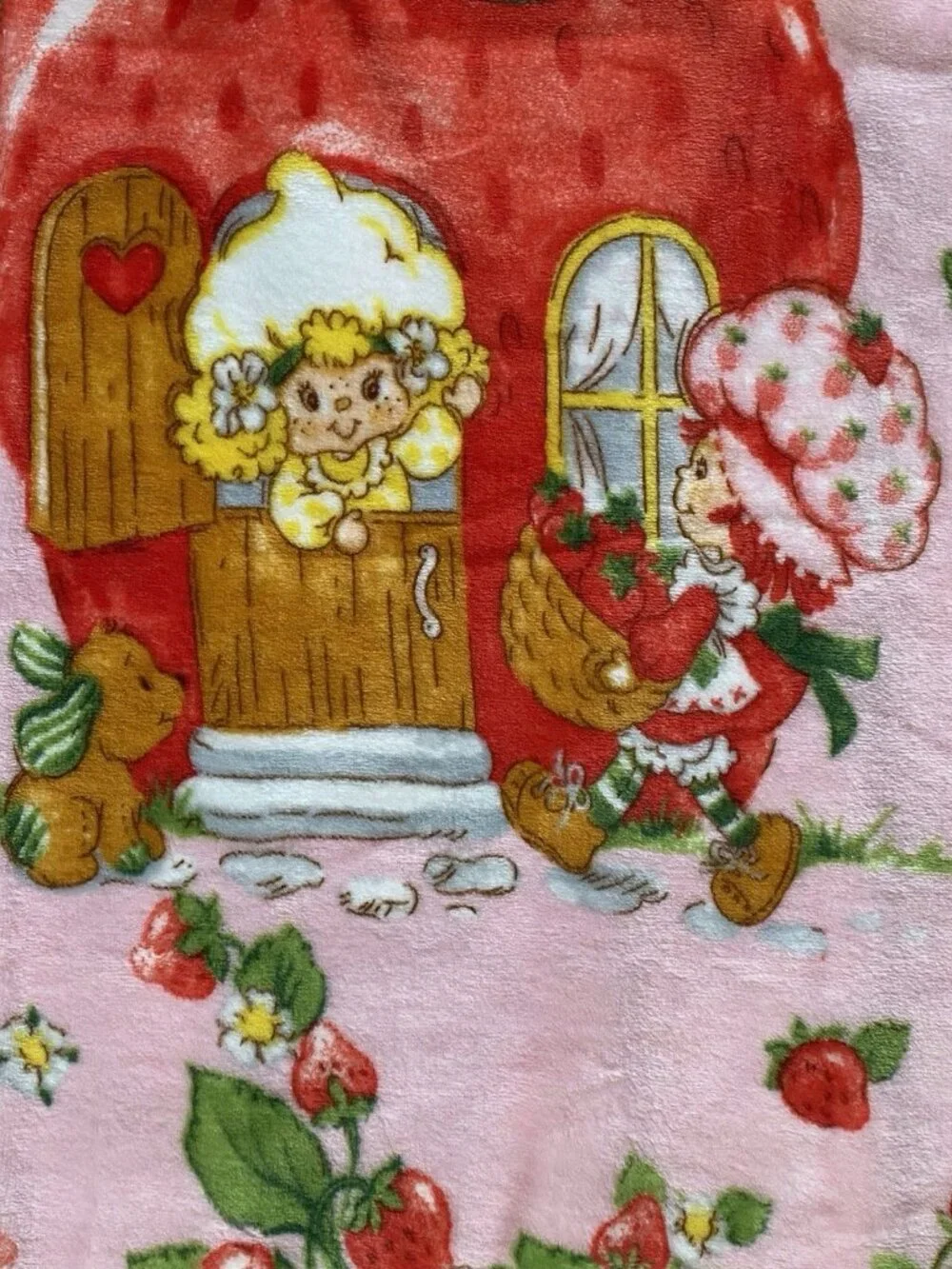 Strawberry Shortcake & Friends 50” X 70”‎ Soft Plush Soft Throw Blanket Pink NEW